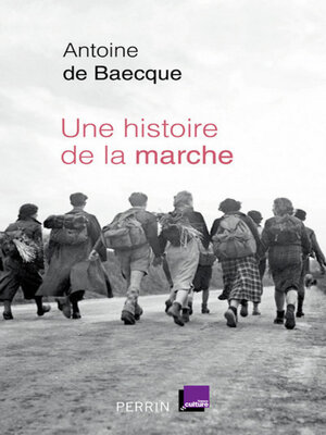 cover image of Une histoire de la marche
